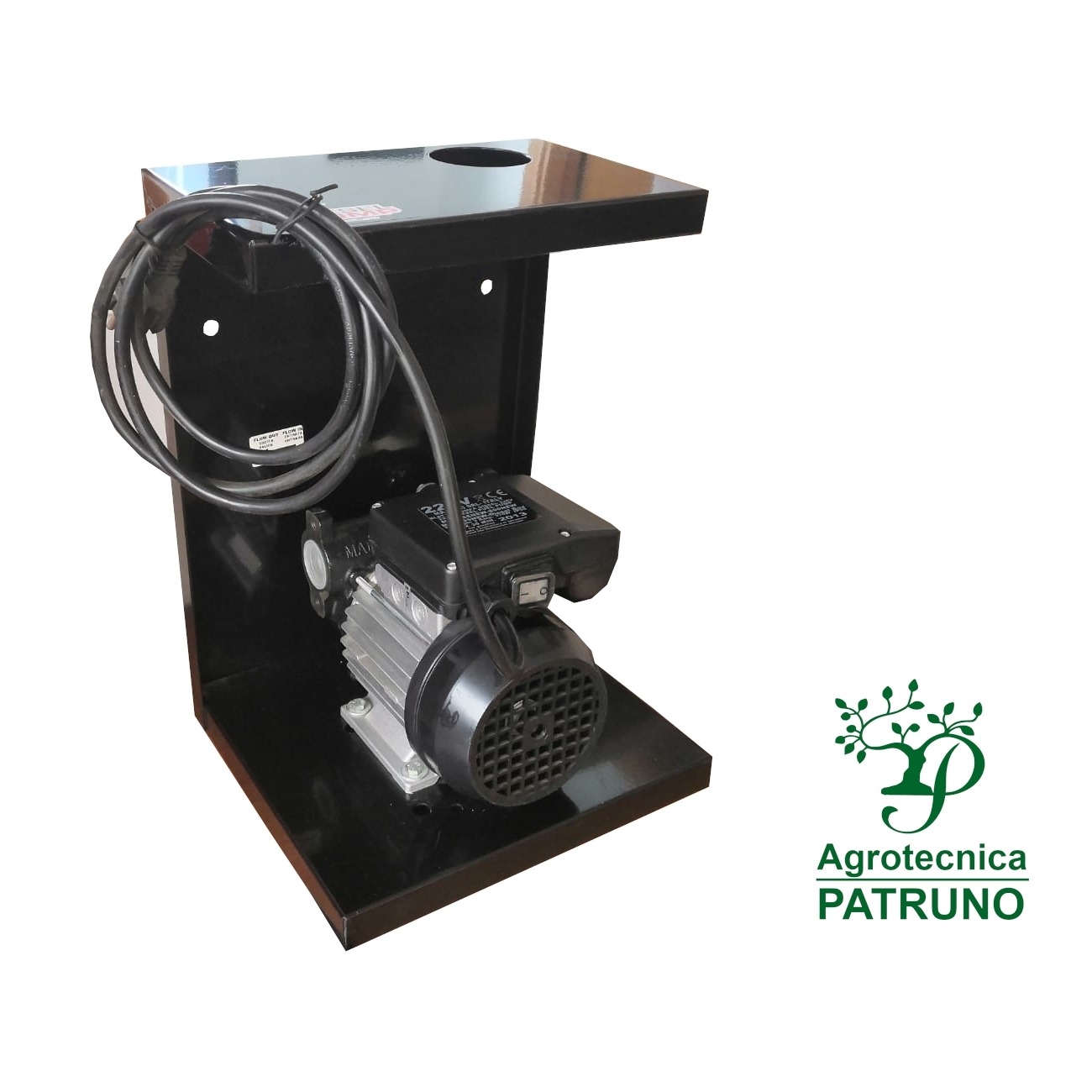 Elettropompa gasolio 220 volt