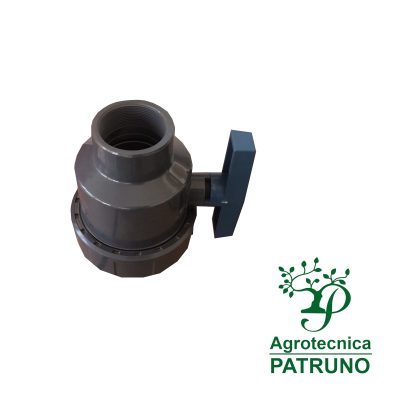 Valvola a sfera F-F 2,5"
