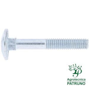 Bullone a testa bombata 16x60