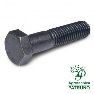 Bullone grezzo 14x70 10.9 filetto parziale