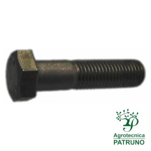 Bullone grezzo 27x110 8.8