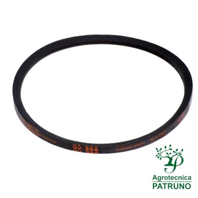 Cinghia A90 Pi belt