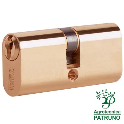 Cilindro per serratura 60 mm Iseo 83002733H
