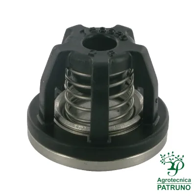 Valvola Annovi Reverberi 629050