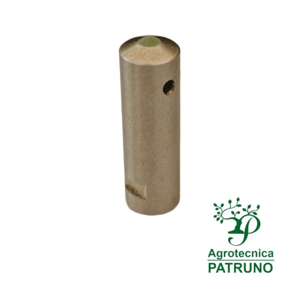 Pistoncino pompa olio Husqvarna 530029838