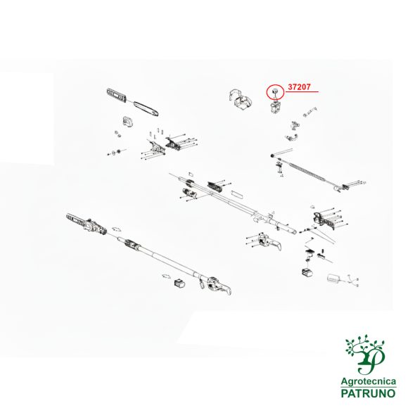 Tappo olio Ausonia Pole Saw 37207